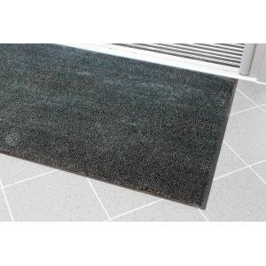 CP010001