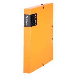 KP255600