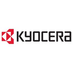 KY044533